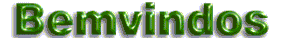 bemvindo.gif - 19101 Bytes